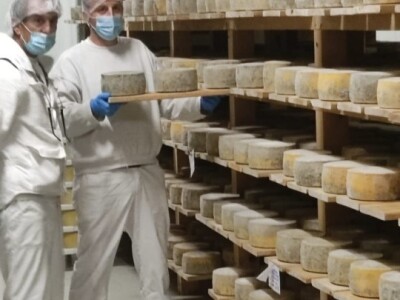 Nove vrste sira iz sirane u Čaporicama