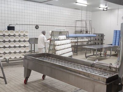 Nove vrste sira iz sirane u Čaporicama