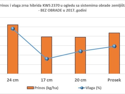 Novi KWS hibridi - rani i kasni