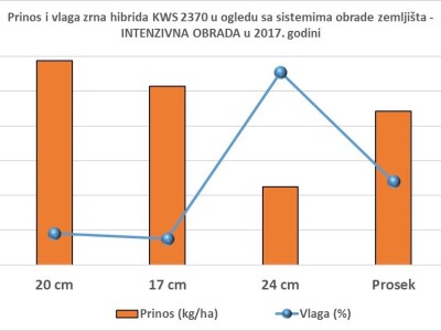 Novi KWS hibridi - rani i kasni