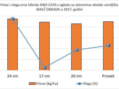 Novi KWS hibridi - rani i kasni