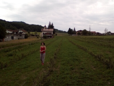 mladi nasad mladi nasad