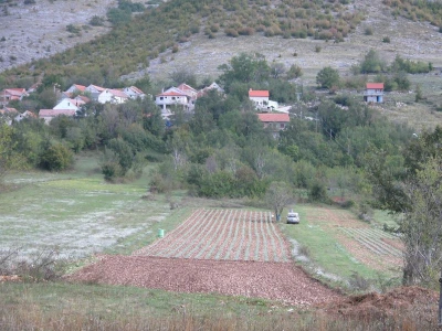 Novi nasadi smilja u lijevom zaobalju Perućkog jezera