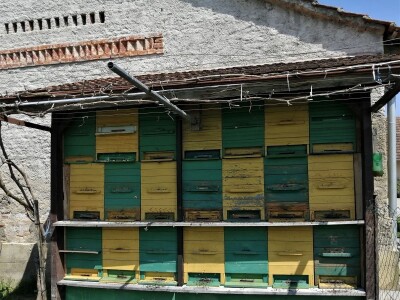 novi pomor pčela u Međimurskoj županiji