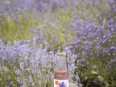 Novi proizvodi porodice Salkić