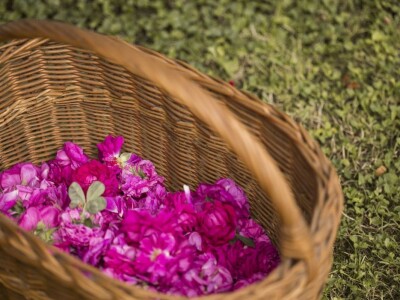 Novi proizvodi porodice Salkić