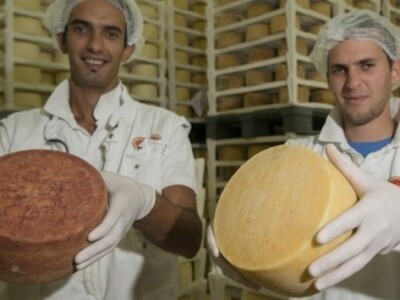 Novi proizvodi sirane Gligora