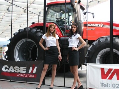 Case na glavnom ulazu