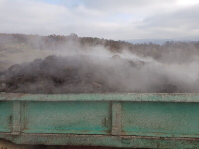 Novi zasad šljiva kod Rogatice