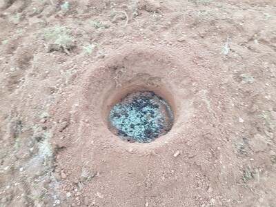 Novi zasad šljiva kod Rogatice