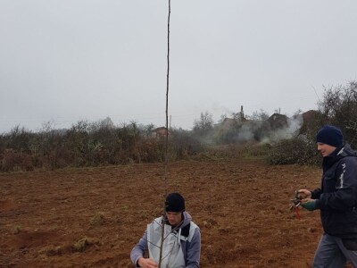 Novi zasad šljiva kod Rogatice