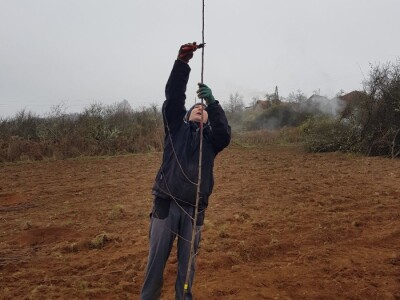 Novi zasad šljiva kod Rogatice