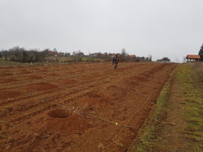 Novi zasad šljiva kod Rogatice