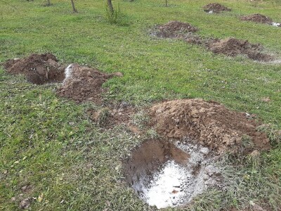 Novi zasadi Novi zasadi