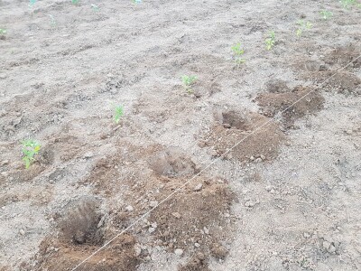 Novi zasadi Novi zasadi