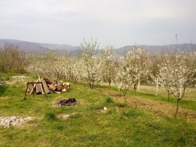 Novi zasadi Novi zasadi