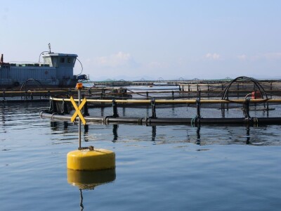 Novinari posjetili Cromaris u okolici Zadra