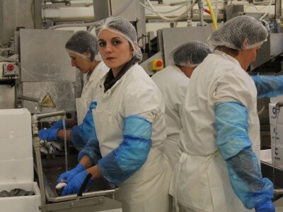 Novinari posjetili Cromaris u okolici Zadra