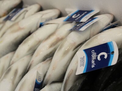 Novinari posjetili Cromaris u okolici Zadra