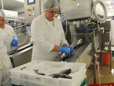 Novinari posjetili Cromaris u okolici Zadra