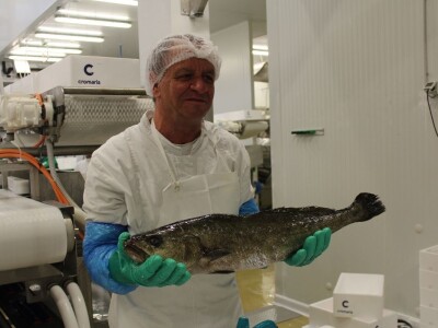 Novinari posjetili Cromaris u okolici Zadra