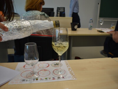 Novinarski vinski ocjenjivački tim ocijenio 18 graševina Novinarski vinski ocjenjivački tim ocijenio 18 graševina