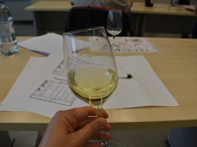 Novinarski vinski ocjenjivački tim ocijenio 18 graševina Novinarski vinski ocjenjivački tim ocijenio 18 graševina