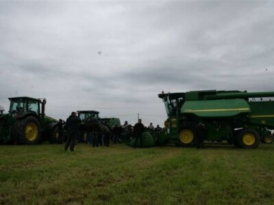 Dani polja 2013 - Krndija