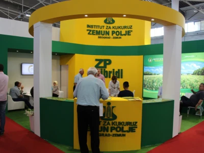 Zemun polje