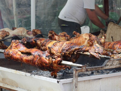 Novosadski sajam 2025