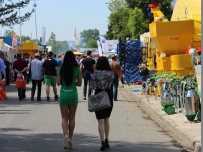 Iz muškog kuta - Novosadski sajam