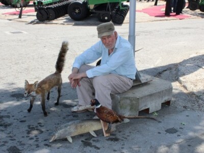Preparisane životinje