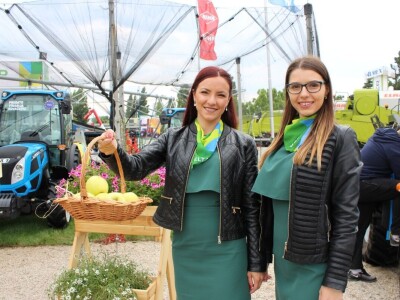 Novosadski sajam iz muškog kuta