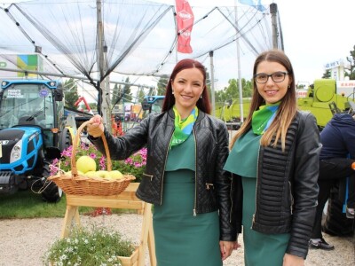 Novosadski sajam iz muškog ugla