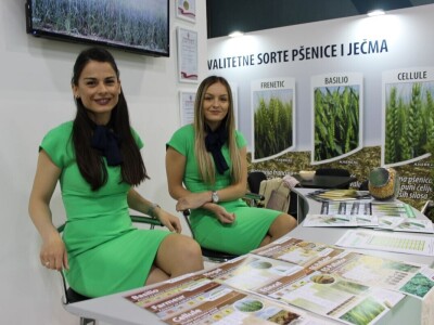 Novosadski sajam iz muškog ugla