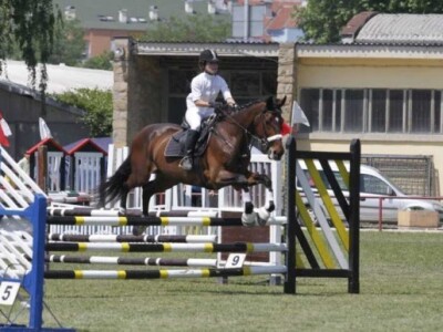 Novi Sad - međunarodni sajam poljoprivrede