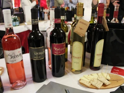 Novosadski salon vina 2018