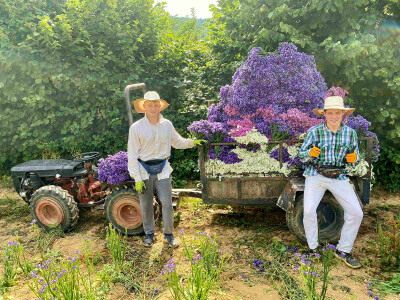 OPG Novosel: naša su motivacija zadovoljni klijenti i oduševljenje kada preuzmu cvijeće