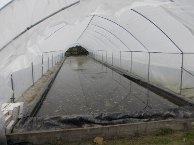 Oprema za proizvodnju duhana ne može se koristiti za druge proizvodnje Oprema za proizvodnju duhana ne može se koristiti za druge proizvodnje