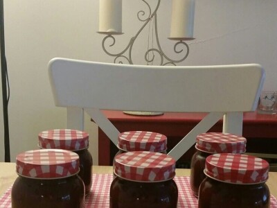 Nutricionista Selma Redžepagić