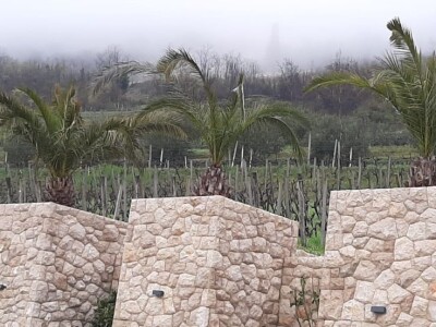 NYIOOC 2022 - Maslinovo ulje Vinarije obitelji Škegro po peti put za redom osvojilo zlatne medalje u New Yorku!! NYIOOC 2022 - Maslinovo ulje Vinarije obitelji Škegro po peti put za redom osvojilo zlatne medalje u New Yorku!!