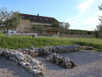 NYIOOC 2025:  Košarkaški trener osvojio zlato za svoje maslinovo ulje NYIOOC 2025:  Košarkaški trener osvojio zlato za svoje maslinovo ulje