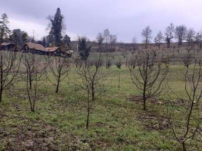 O poljoprivredi i selu - prof.dr.sc. Ivo Grgić