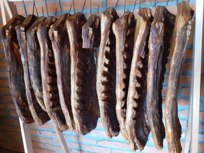 O poljoprivredi i selu - prof.dr.sc. Ivo Grgić