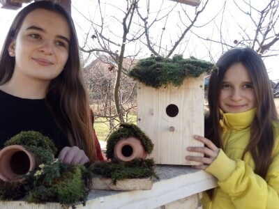 Oaza bioraznolikosti: Slavonka i Dalmatinac podigli nasade iz snova