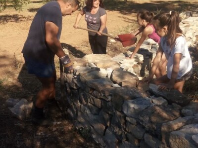 Oaza bioraznolikosti: Slavonka i Dalmatinac podigli nasade iz snova