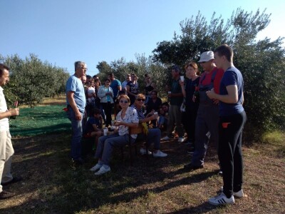 Oaza bioraznolikosti: Slavonka i Dalmatinac podigli nasade iz snova