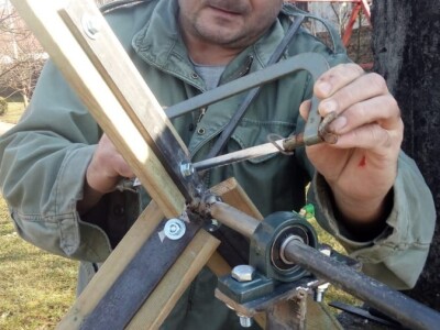 Oaza bioraznolikosti: Slavonka i Dalmatinac podigli nasade iz snova