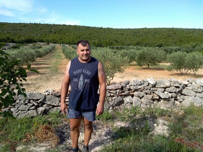 Oaza bioraznolikosti: Slavonka i Dalmatinac podigli nasade iz snova