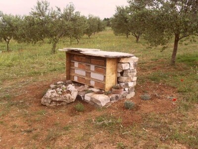 Oaza bioraznolikosti: Slavonka i Dalmatinac podigli nasade iz snova